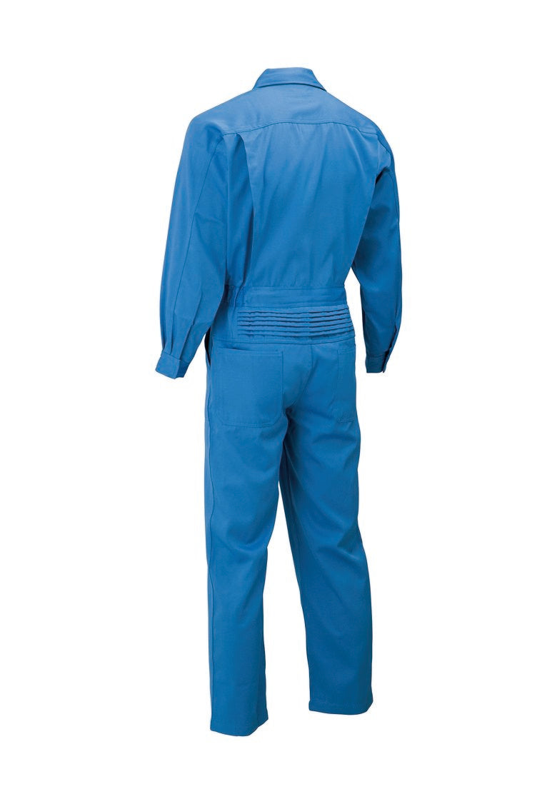 ブルー(バックスタイル)