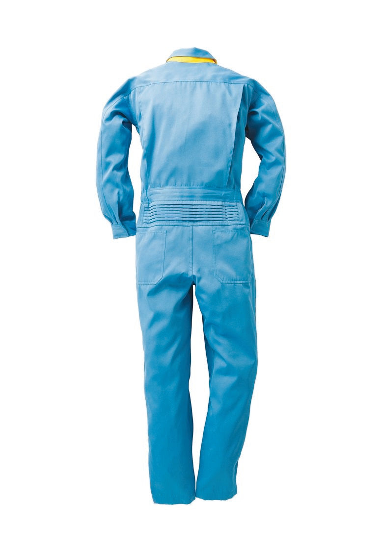 バックスタイル(ブルー)