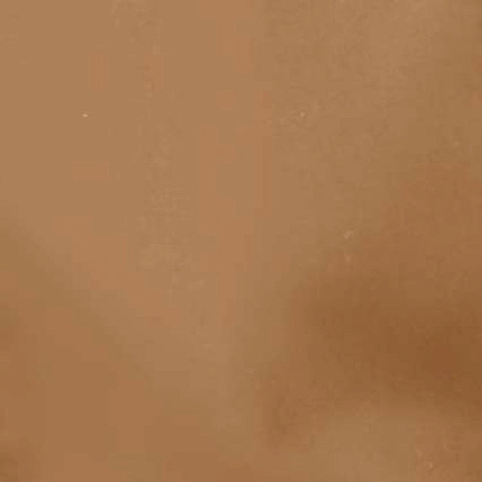 キャメル