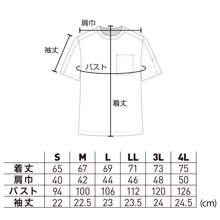 サイズ表